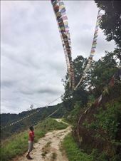 by welcometomyworld, Views[233]