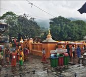 by welcometomyworld, Views[248]