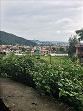 by welcometomyworld, Views[251]