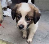 by welcometomyworld, Views[151]