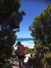 by welcometomyworld, Views[361]