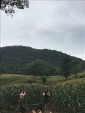 by welcometomyworld, Views[221]