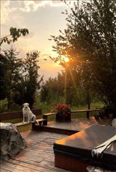 by welcometomyworld, Views[186]