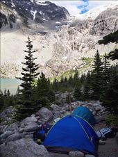 by welcometomyworld, Views[323]