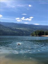 by welcometomyworld, Views[107]