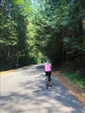 by welcometomyworld, Views[136]