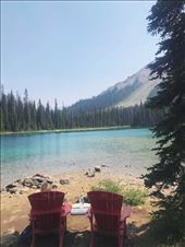 by welcometomyworld, Views[130]