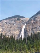 by welcometomyworld, Views[121]