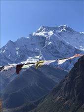 by welcometomyworld, Views[82]