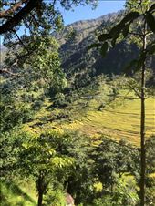 by welcometomyworld, Views[170]