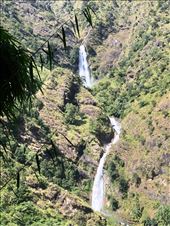 by welcometomyworld, Views[196]