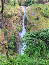 by welcometomyworld, Views[207]