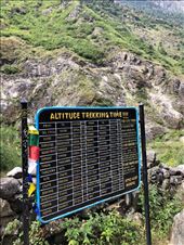 by welcometomyworld, Views[184]