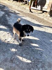 by welcometomyworld, Views[181]