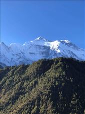 by welcometomyworld, Views[252]