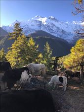 by welcometomyworld, Views[178]