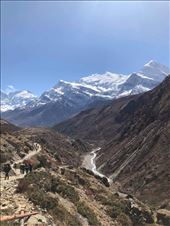 by welcometomyworld, Views[96]