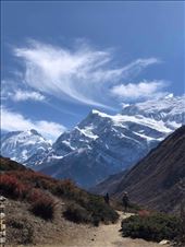 by welcometomyworld, Views[115]