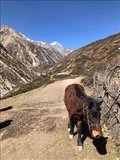 by welcometomyworld, Views[94]