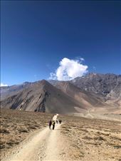 by welcometomyworld, Views[126]