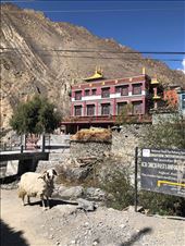 by welcometomyworld, Views[126]