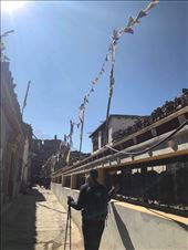 by welcometomyworld, Views[107]