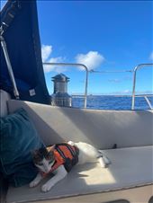 by welcometomyworld, Views[205]