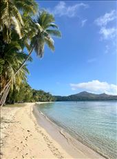 by welcometomyworld, Views[222]