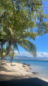 by welcometomyworld, Views[175]