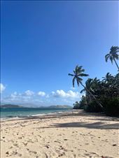 by welcometomyworld, Views[234]