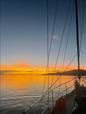 by welcometomyworld, Views[206]