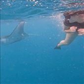 by welcometomyworld, Views[213]