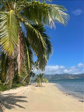 by welcometomyworld, Views[220]