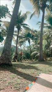 by welcometomyworld, Views[367]