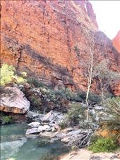 by welcometomyworld, Views[196]