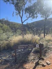 by welcometomyworld, Views[183]