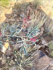 by welcometomyworld, Views[177]