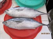 Fresh fish: by wendyandkevin, Views[197]