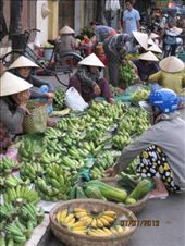 Banana's for sale: by wendyandkevin, Views[239]