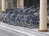 More bicycles: by wendyandkevin, Views[228]