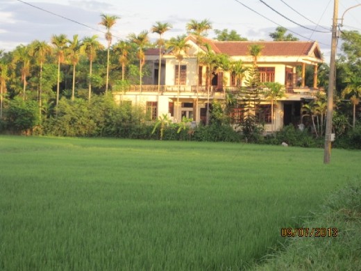 House with rice paddies