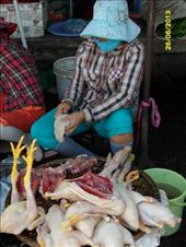 Fresh chicken gizzards: by wendyandkevin, Views[294]