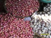 Shallots and garlic: by wendyandkevin, Views[176]