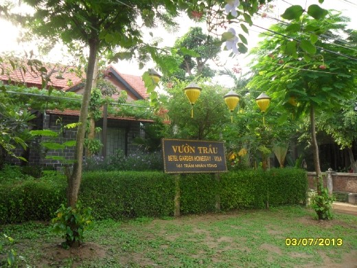 Betel Garden