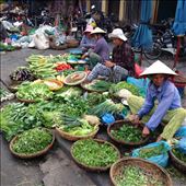 Central market. Look at the greens!: by wendyandkevin, Views[173]