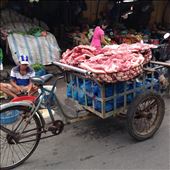 Pork anyone. : by wendyandkevin, Views[160]