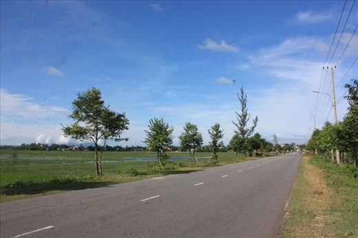 Road through rice fields that we travel to the beach. 