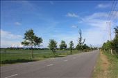 Road through rice fields that we travel to the beach. : by wendyandkevin, Views[220]