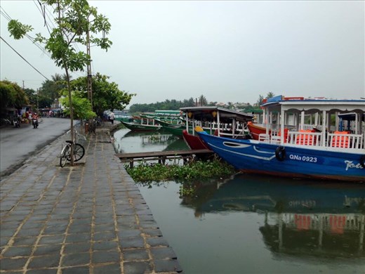 Along the River bank 