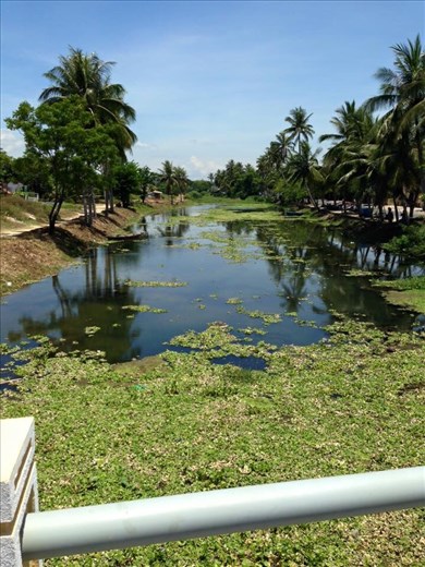 View of small river near Betel. 